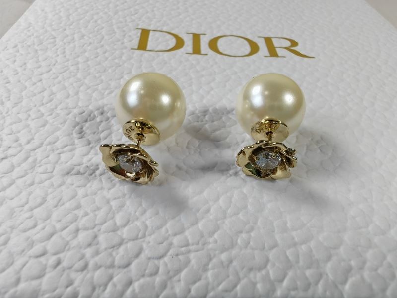 Christian Dior Earrings